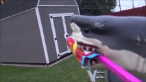 Sharks vs Bottle Rockets 'Toy Shark Lighting Fireworks'-3N