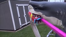 Sharks vs Bottle Rockets 'Toy Shark Lighting Fireworks'-3N1w