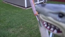 Sharks vs Bottle Rockets 'Toy Shark Lighting Fireworks'-3N1wzV75