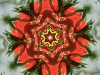 Friedrich Liechtenstein - Strawberry Red