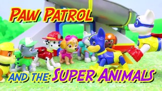 Paw Patrol Super Pups Rescue Superhero Animals with Apollo and Superpup Chase and Dancing Elephant-BG