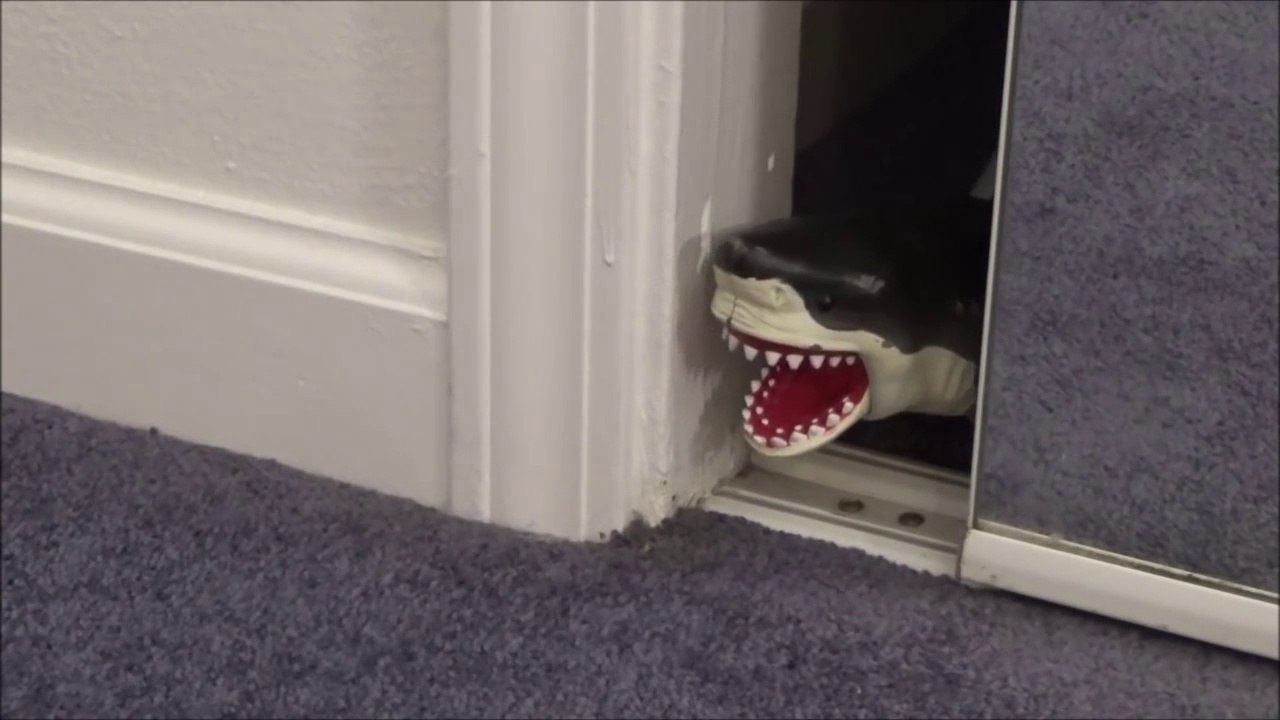 Feeding My Pet Shark Shopkins Season 2 'Toy Freaks Love Shark Week & Sharknado'-vR8