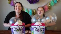 Hatchimals Sneak Peek! Our Hatchimals are Ready To Hatch!-8s76oXPE