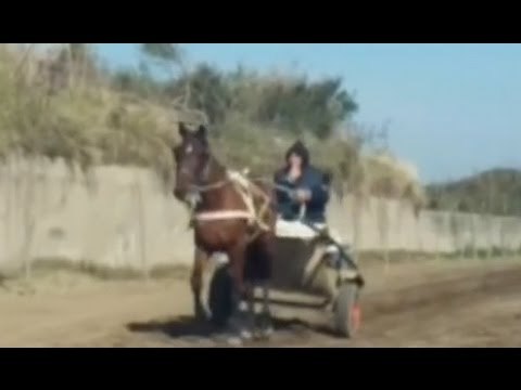 Napoli - Pista abusiva per cavalli nel Parco di Cuma, sequestrata area (01.03.17)