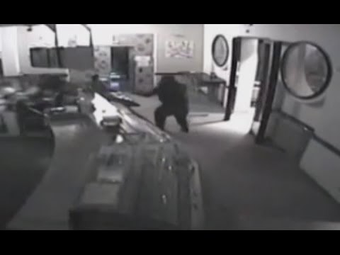 Brisighella (RV) - Furti tra Emilia e Lombardia, arrestati due albanesi (22.02.17)