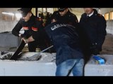 Cagliari - 400 chili di hashish nascosti in blocchi di cemento (22.02.17)