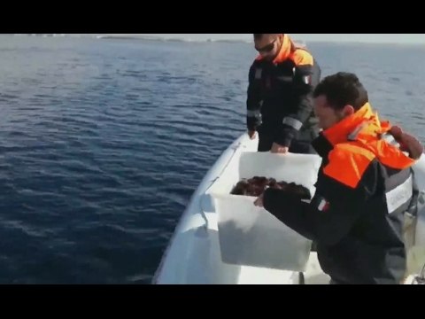 Porto Cesareo (LE) - Fermati con mille ricci in area marina protetta, multati pescatori (17.02.17)