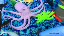 ANIMAL PLANET MEGA OCEAN TUB SHARKS DOLPHINS TURTLES SEAHORSE STARFISH OCTOPUS WHALE CRAB - UNBOXING