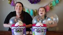 Hatchimals Sneak Peek! Our Hatchimals are Ready To Hatch!-8s76o