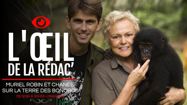 Faut-il regarder Muriel Robin et Chanee sur la terre des bonobos sur France 3 ? Notre avis dans L'oeil de la rédac'