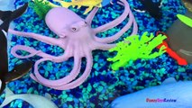 ANIMAL PLANET MEGA OCEAN TUB SHARKS DOLPHINS TURTLES SEAHORSE STARFISH OCTOPUS WHALE CRAB - UNBOXING-xw7X-zcY