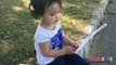 Toddler learning ABC Alphabets on a White Flags _ Fun outdoors park-nQaIsX