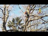 Fiorenzuola (FI) - Cade con parapendio e resta impigliato ad albero (17.02.17)