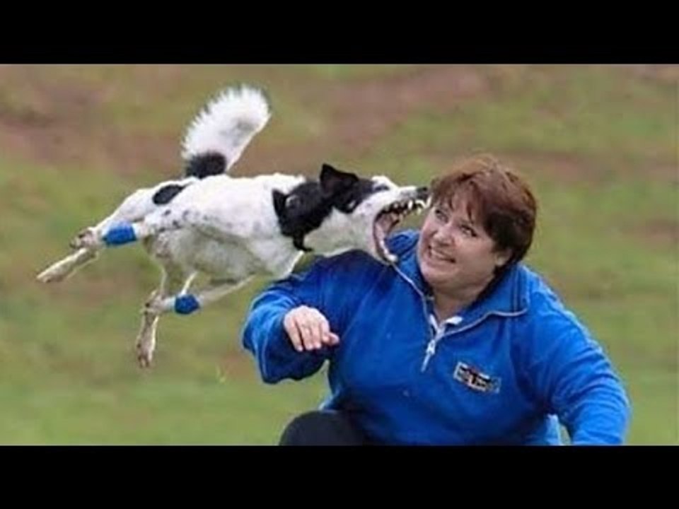 AFV FUNNY FAILS VINES COMPILATION 2017 | Best Fails of the Week (January 2016) *Life Awesome*