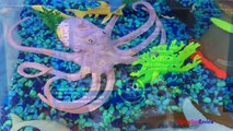 ANIMAL PLANET MEGA OCEAN TUB SHARKS DOLPHINS TURTLES SEAHORSE STARFISH OCTOPUS WHALE CRAB - UNBOXING-xw