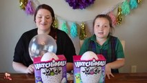 Hatchimals Sneak Peek! Our Hatchimals are Ready To Hatch!-8s76oXP