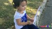 Toddler learning ABC Alphabets on a White Flags _ Fun outdoors park-nQaIs