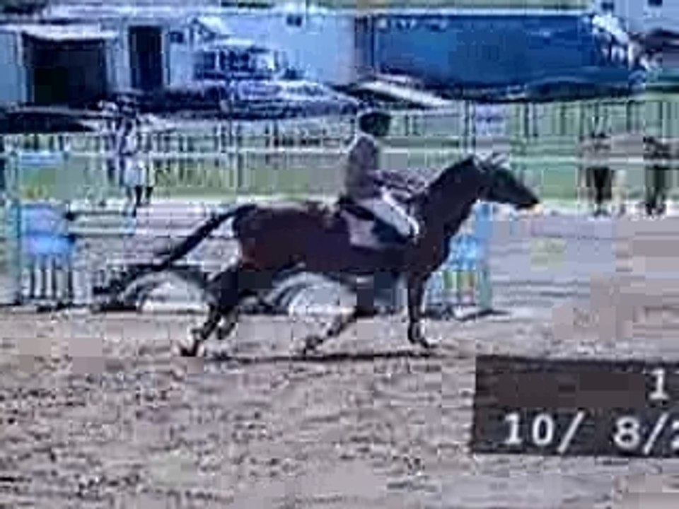 mais ou est vincent? a cheval? NON