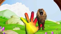 Lion Vs Tiger Finger Family Song | Tiger Vs Lion Fight | Children Nursery Rhymes by PoPo K