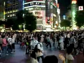 Shibuya by night 1