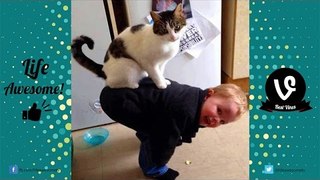 TRY NOT TO LAUGH or GRIN - Funny Kids Fails | Best Funny Dogs, Funny Cat Compilation 2016