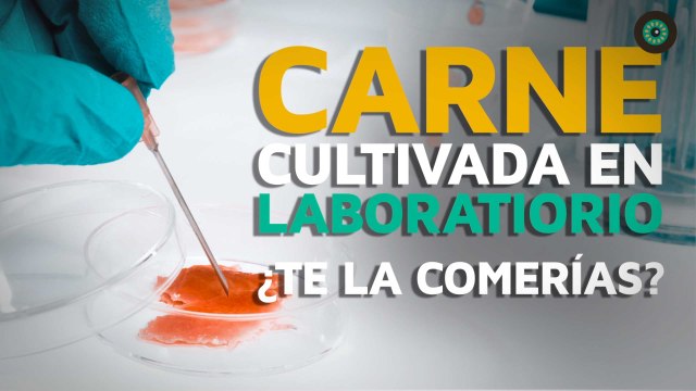Carne cultivada en laboratorio: ¿Te la comerías?
