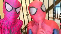 Frozen Elsa SCARY SPIDER PRANK! - Spiderman vs Joker, Peppa Pig, Pink Spidergirl, Batman