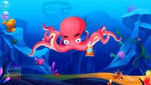 Sea Animal Doctor | Kids Learn How to Care Ocean Animals Game Play By Libii