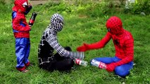 Red Spidergirl and Black Spiderman - Real life superhero funny romantic story - Bee sting