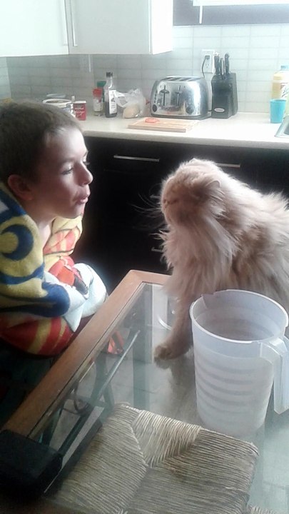 Cat Smacks Kid for Blowing in His Face