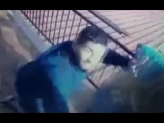 Скачать видео: Cetraro (CS) - 'Ndrangheta, arrestato il latitante 