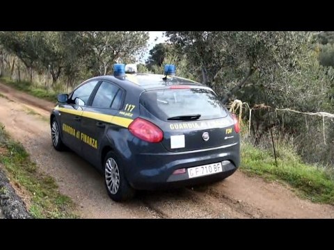 Capo d’Orlando (ME) - Agrumi, false fatture per ottenere finanziamenti europei (11.02.17)