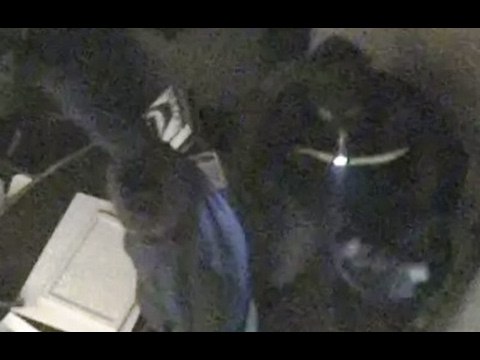 Bergamo - Colpo alla gioielleria Curnis, sgominata banda di serbi (09.02.17)