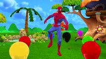 Spiderman Dinosaurs Balloons Finger Family | Little Spider Boy Balloons Popping Show Nurse