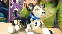 Zoomer Interactive Puppy Shadow Robot Toy Dog Toys