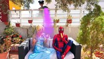 Замороженные Эльза и Анна, Человек-Паук выхаживания Вт Spiderbaby и конфеты мечта супергероя удовольствие