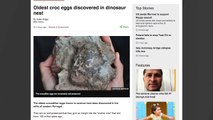 Scientists Uncover Oldest Known Crocodile Eggs