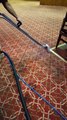 Carpet Cleaning Coral Springs | 6726 NW 43RD PL CORAL SPRINGS, FL 33069