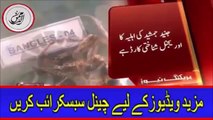 Mahira Khan Crying After Listening Junaid Jamshed Death News In Plane Crash Near Isl
