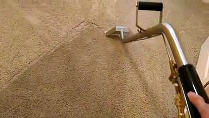 Amazing Carpet Cleaning Melbourne