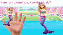 Mega Bloks Barbie Pool Party with Barbie Doll and Ken Doll - Life in a Dream House Barbie