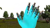 Tiger Finger Family | Lion Cheetah 3D Animated Finger Family Rhymes For Babies | Animals C