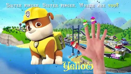 Paw Patrol Finger Family Songs Zuma , Rubble , Chase , Skye and Rocky Nursery Rhymes and m