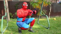 Spiderman, Elsa & Anna & Pink Spidergirl! Surprise Egg Hunt! Superheroes in Real Life :)