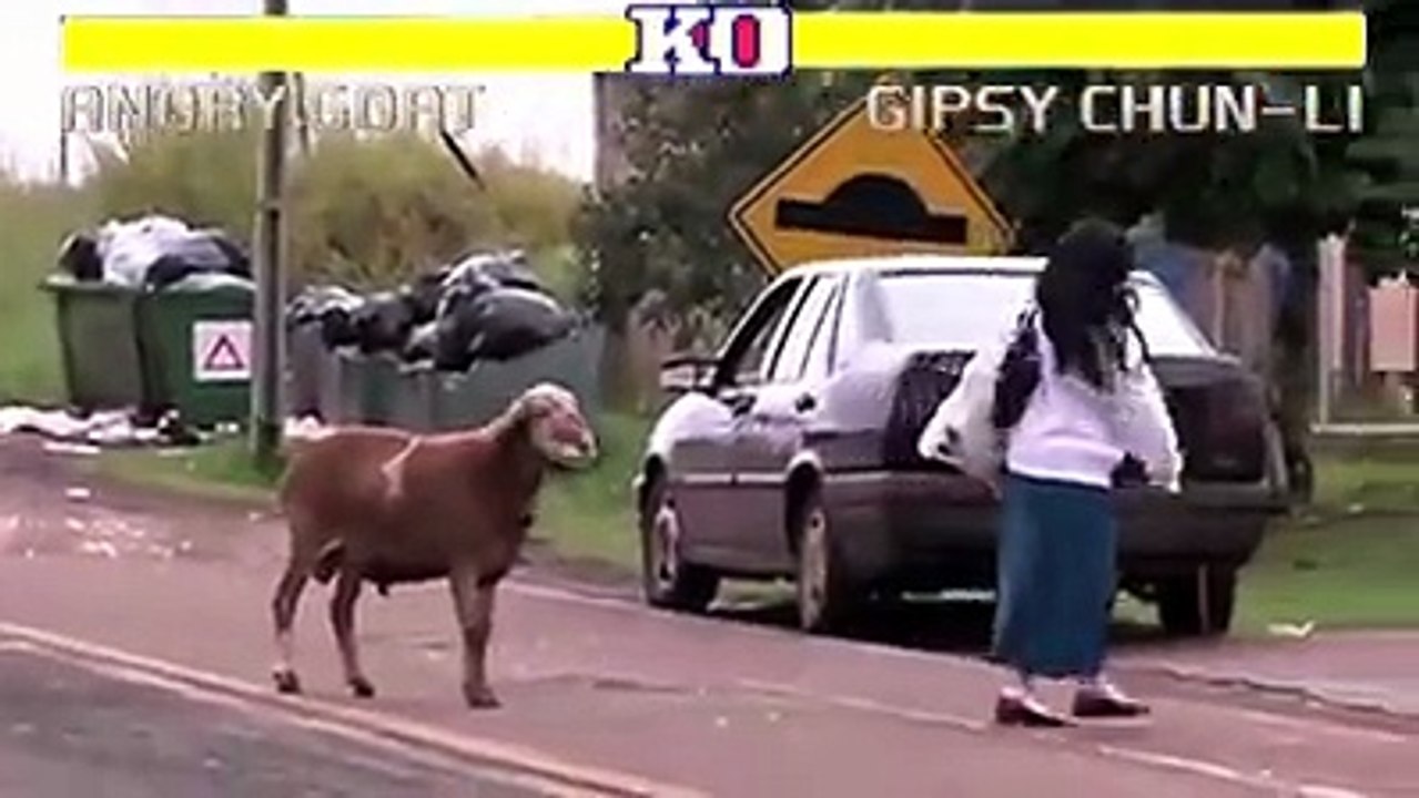 Best funny clip