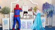 Spiderman Kiss Cam Frozen Elsa - Snow White Anna Hulk Batman Superman Superhero in Real Life #7