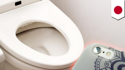 일본 신사의 여성화장실에 침입, 도촬하려고 하던 남성 체포