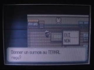 Comment faire des resets dans Pokemon
