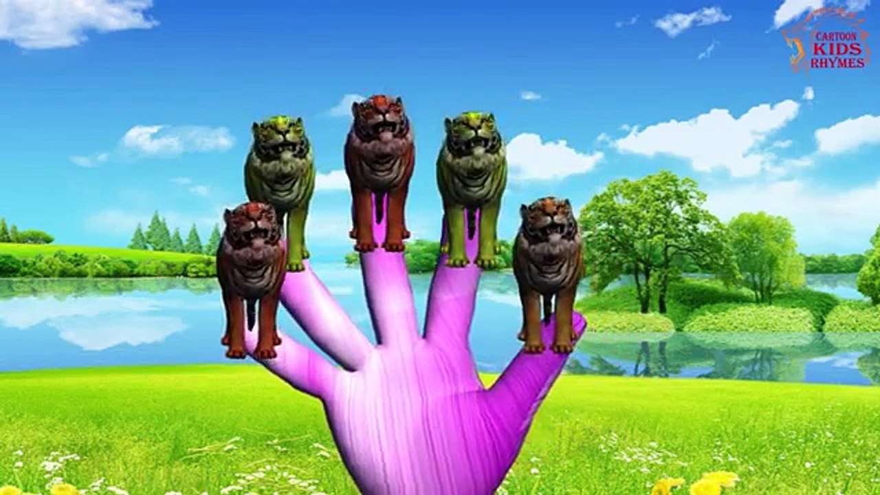 Finger Family Tiger - 3D Animation Nursery Rhymes