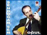 Gel Oyna Gül Oyna - Şendoğan Şen